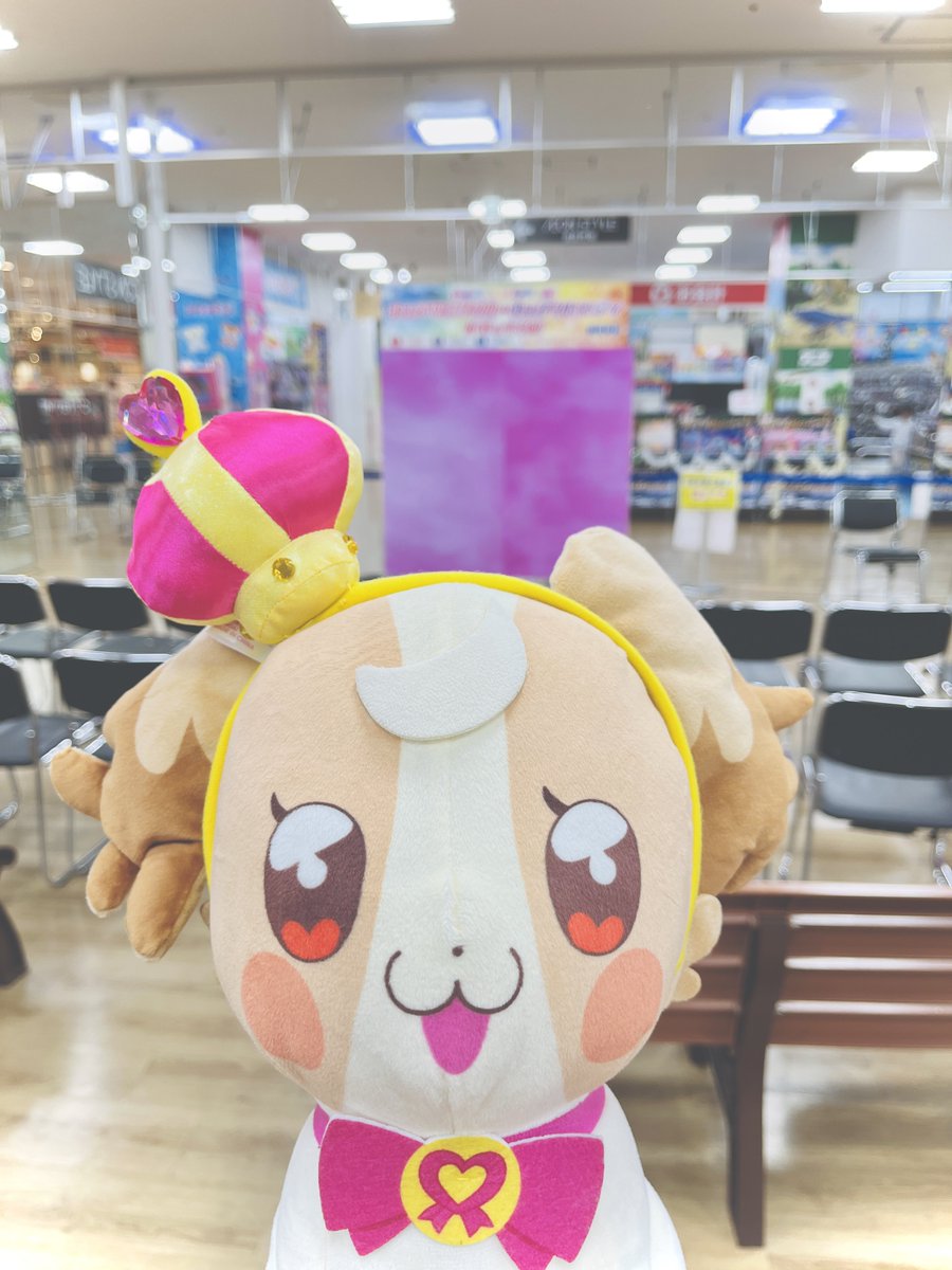 かみいぬ🐶 (@kmg_suki2club) / Posts / X