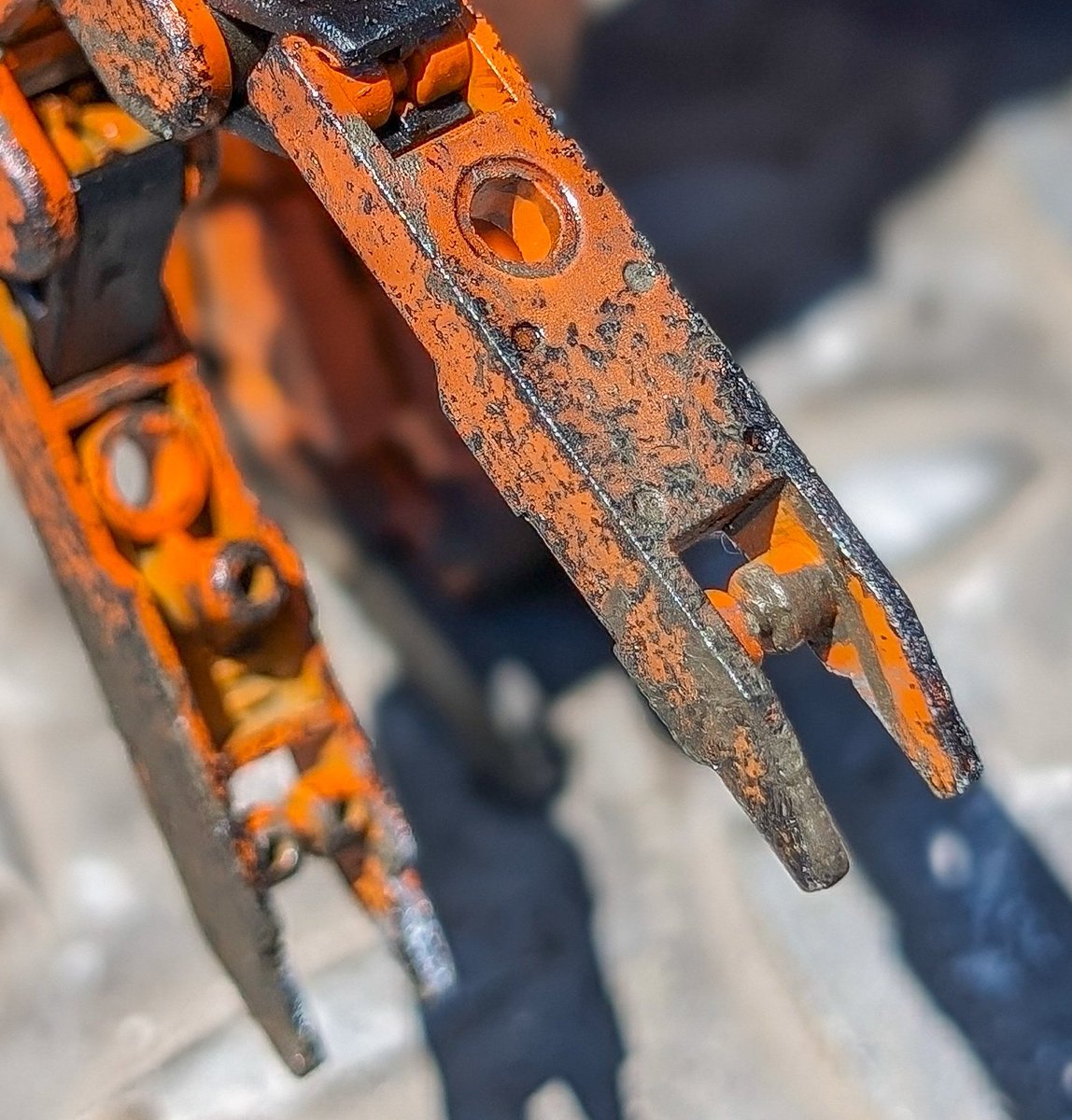 バーナード tweet media