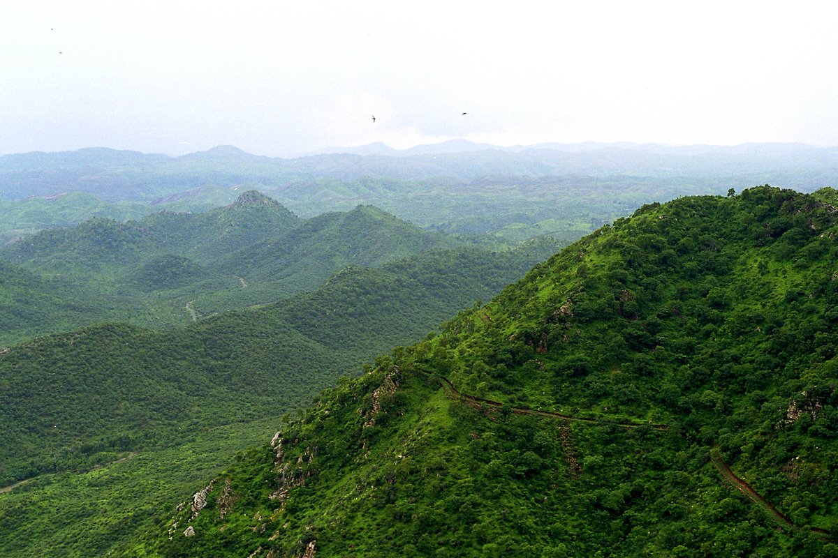 DealBeeOfficial's tweet photo. Save Aravallis. That’s the tweet.

Before it’s too late… 😭

We’ve already done enough damage to Earth. The Aravallis can’t be next.

Non-sustainable growth isn’t progress. It’s greed. https://t.co/0Vi3G0UHgm