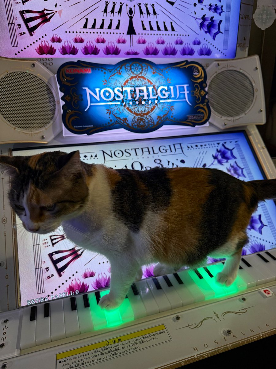 ベティ様　2点おまとめ 今週末、やりに行こうかな