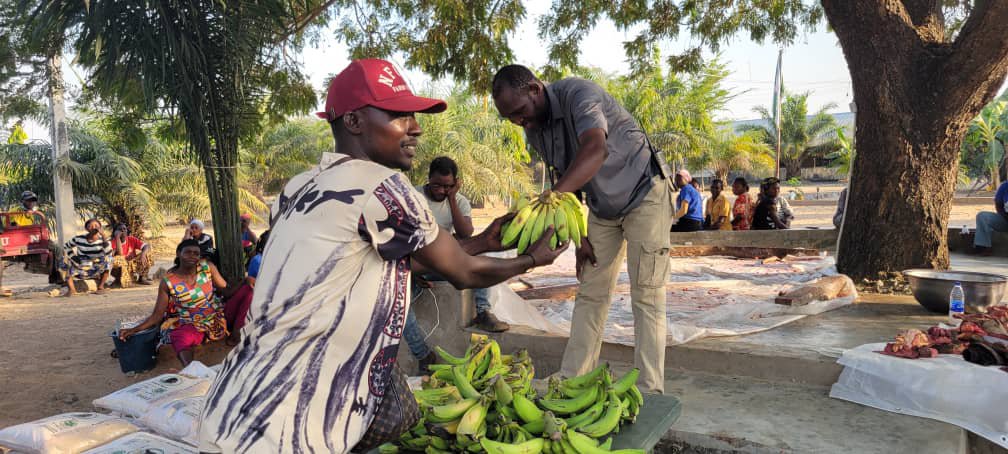 RetsonTedheke01's tweet photo. #NigeriaFarms: The Holiday Season is a Time of A Thousand Smile For Our Staff! 

This Time We were able to Share Rice, Cattle, Plantain and Dry Fish For our about 100 staff! 

Nigeria Must Farm For Nigeria to Work! https://t.co/QQ64VlbWtR