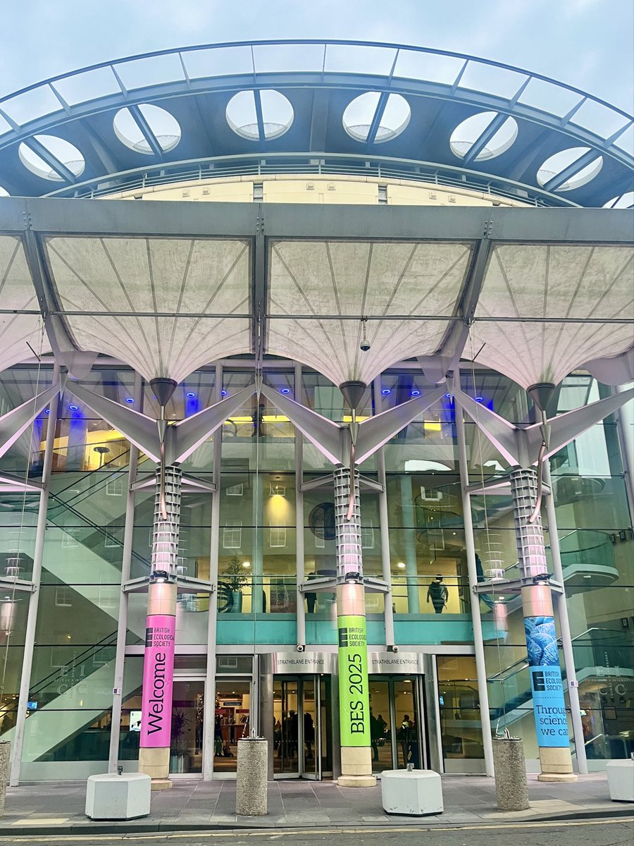 Devin Fitzpatrick tweet media