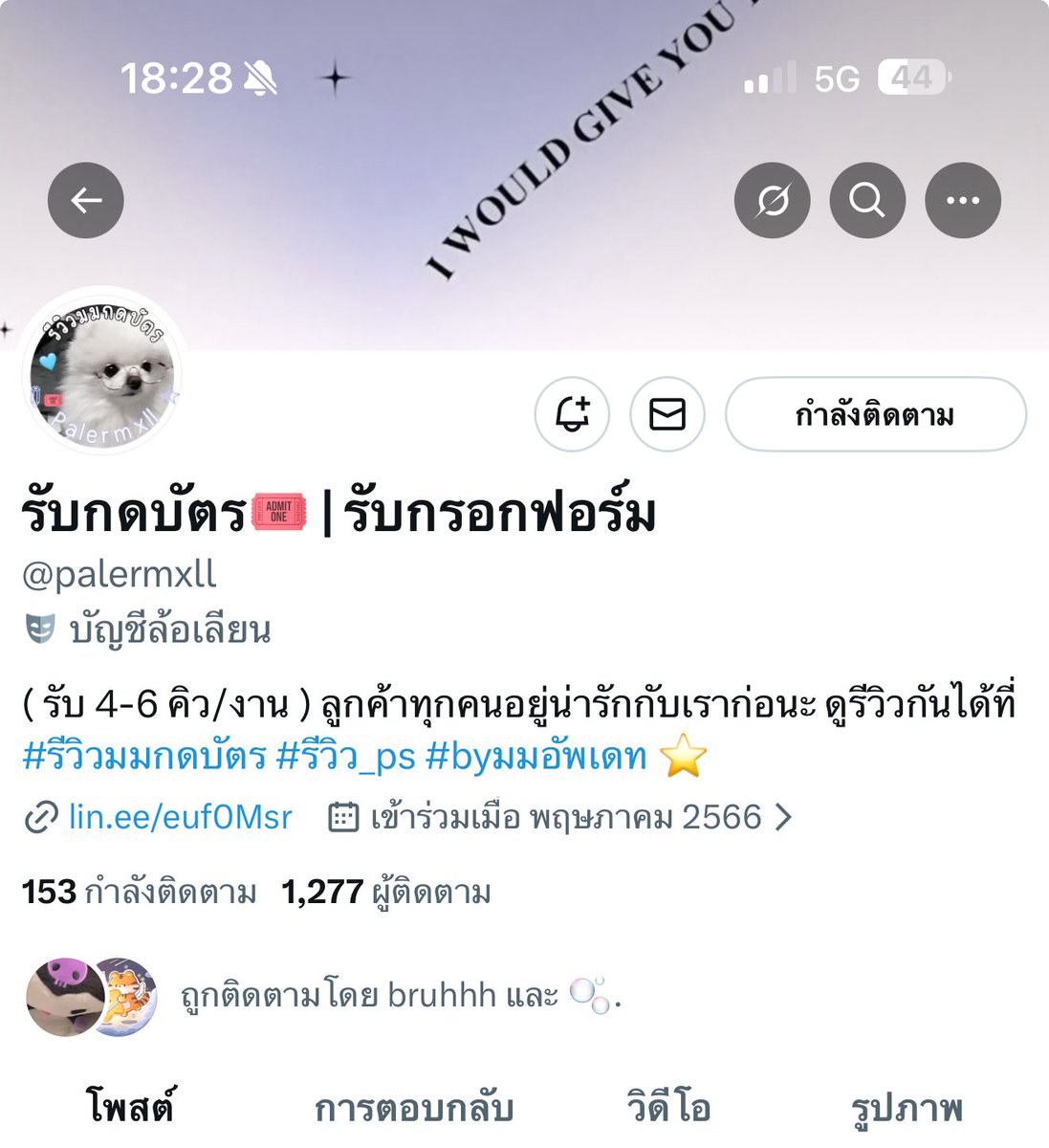 jellymeow tweet media