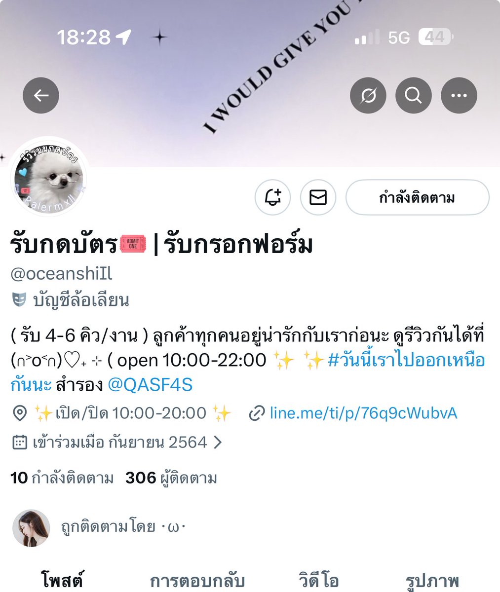 jellymeow tweet media