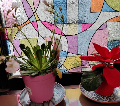 Image for the Tweet beginning: 🎈205‐6日
✍️#WEB制作　中級　尾道
うーん🙄　共通項がどれにするかで時間ばかりかかる
2日間やってみたけど、中々進まない！
父が花買ってきてくれた。ずっと画面の前でにらめっこしているからだと思う。
🌸みると安心してきた。キレイだ
sobolonみながら再スタート！順次やっていこう
#デイトラ 