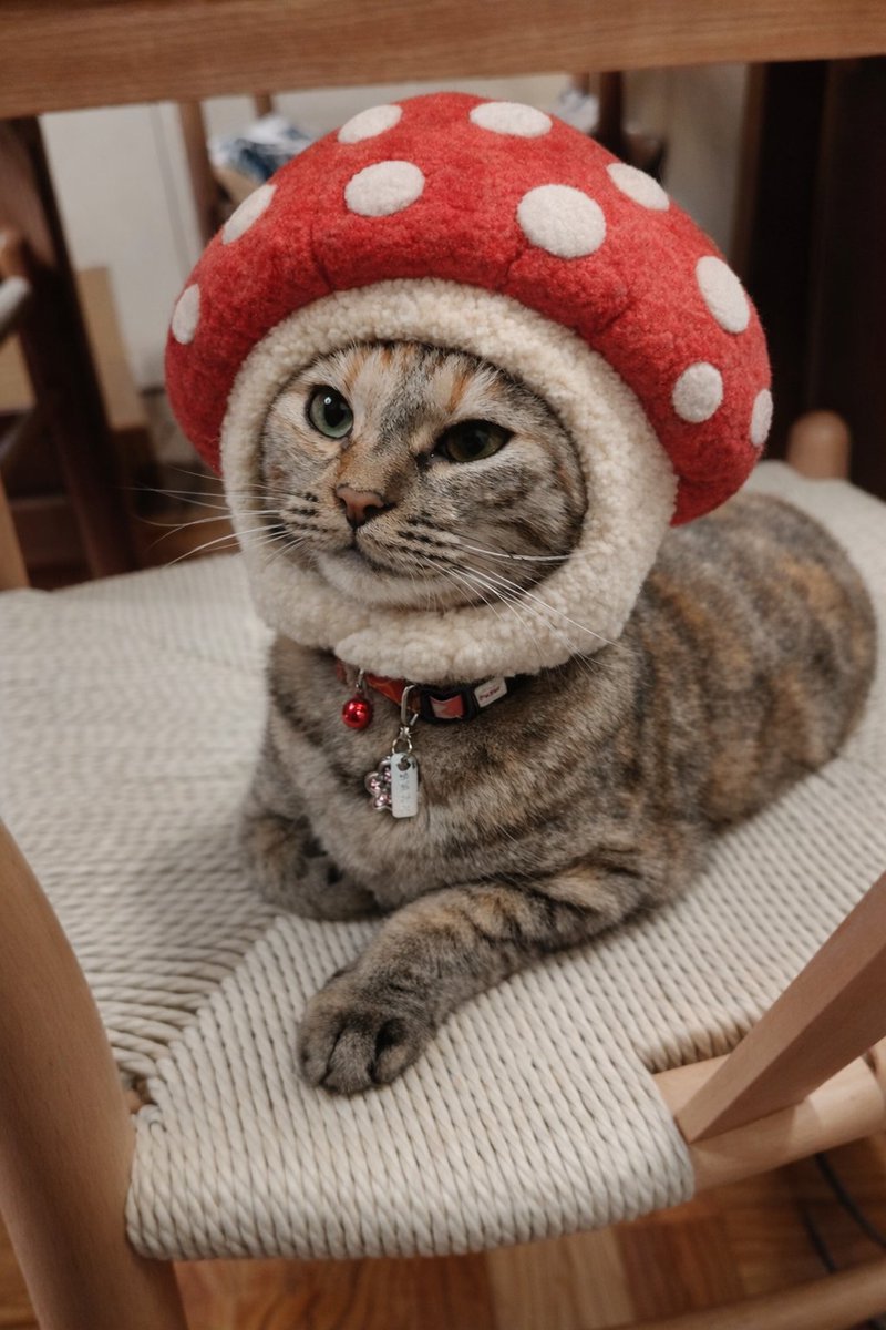 はると (@tomeji1106) / Posts / X