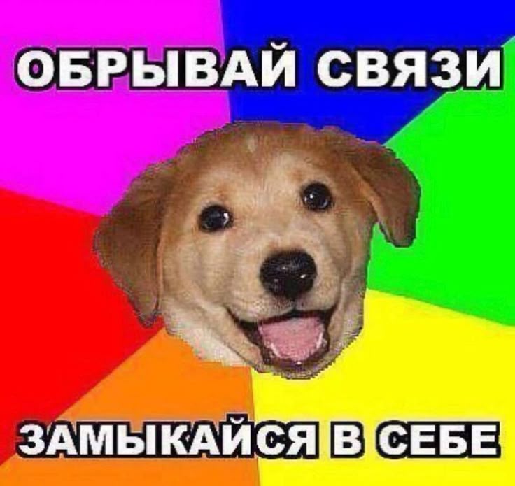 Мири☀️ (@nycho48) on Twitter photo 