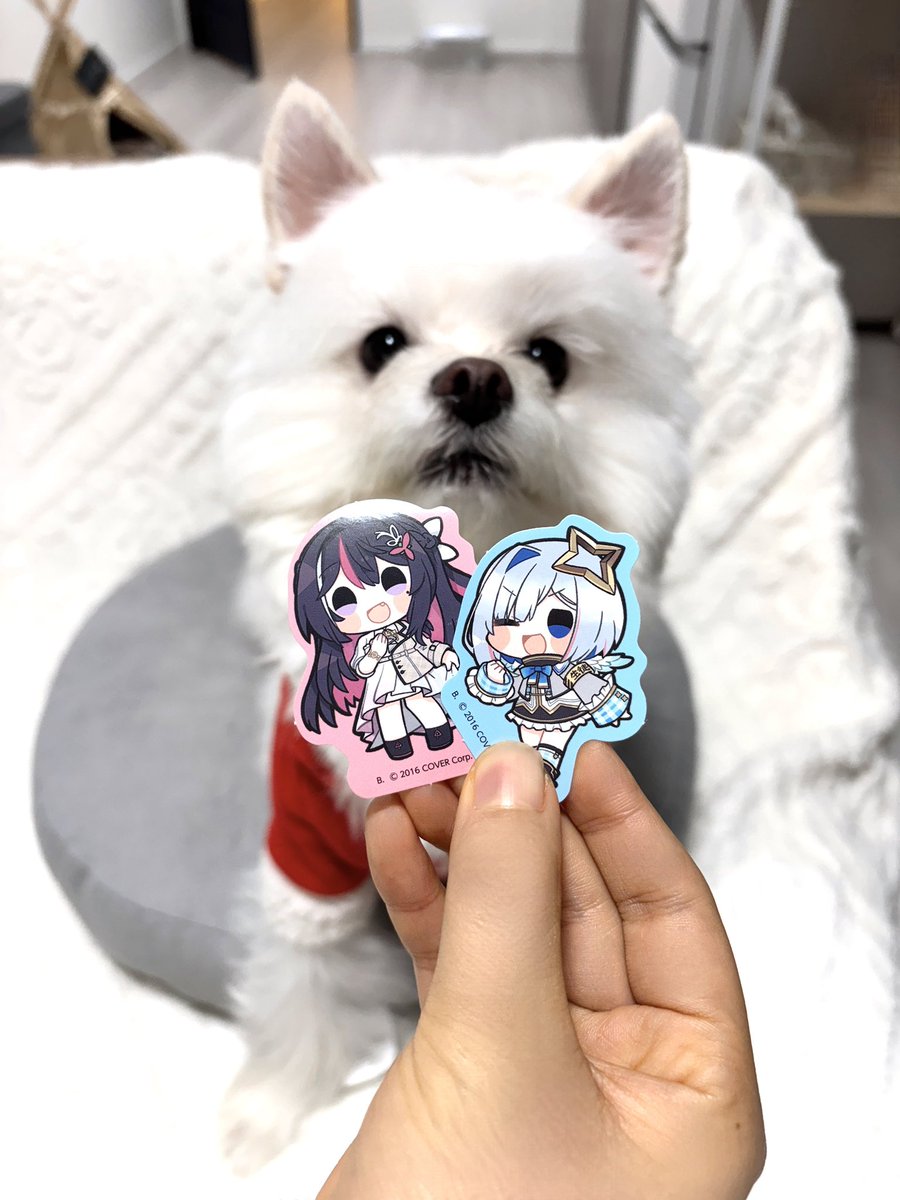 AZKi (@AZKi_VDiVA) / Posts / X