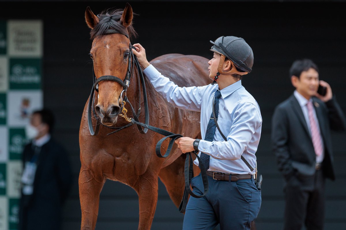 すばる (@red_bird_shuka) / Posts / X