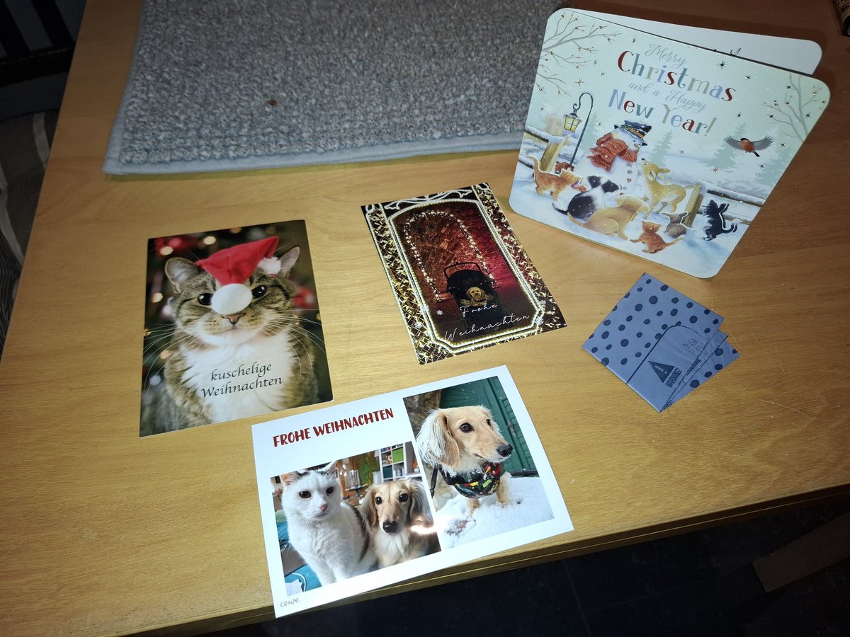 Pfreunde,uns hapen kanz tolle Karten erreicht pfon <a href="/BkhOpi/">Toni der🐈‍⬛Opi🌈</a> mit Krüssen aus dem Rekenbogenland ❤️ 
pfon <a href="/Blackydiekatze/">Lili, die neue....</a> mit einem Kackipeutel 😉
pfon meina Schlumpfnichti <a href="/Jettepipsqueak/">Jette (Ministerin für Fressangelegenheiten)</a> mit Katerchen und pfon der liepen <a href="/HazelHavanese/">Hazel</a> mit 😗
Pfielen Dank euch allen ❤️