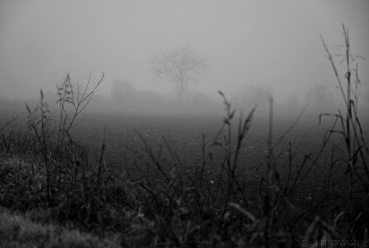 Bilo jednom u Vojvodini...