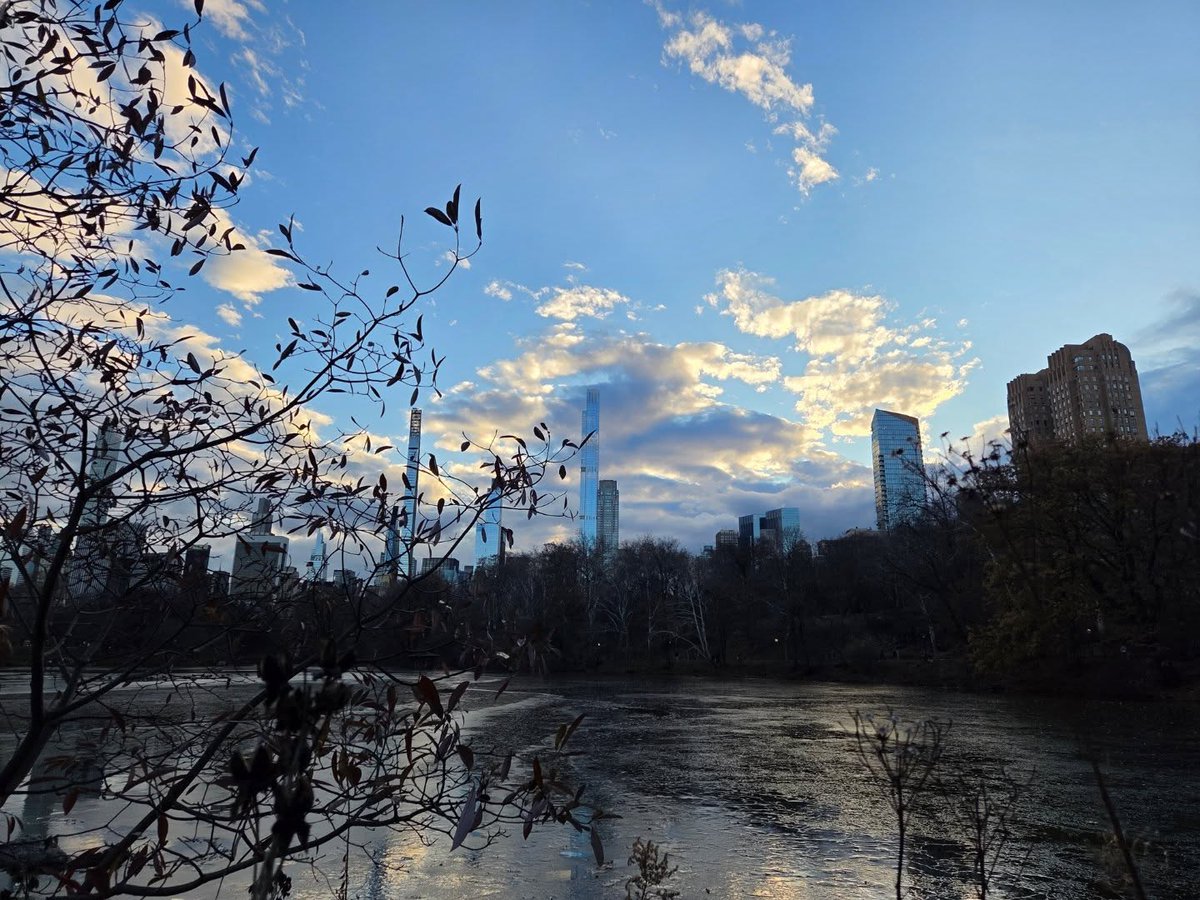 OSISNetlas's tweet image. 