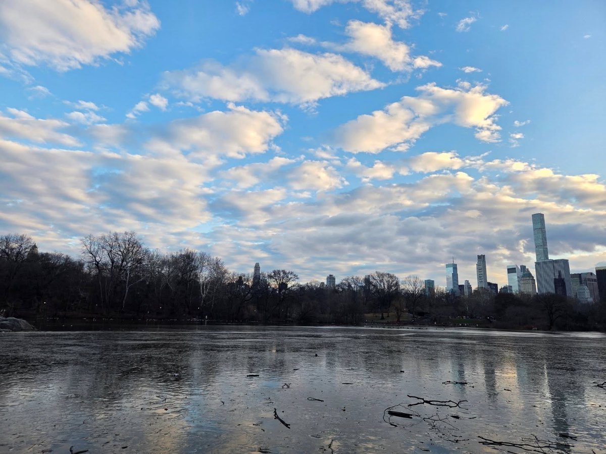 OSISNetlas's tweet image. 