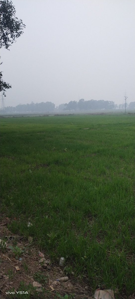 खेतों से उठती ठंडी हवा जब कच्ची पगडंडियों से गुजरती है, तो दिन भर की धूप जैसे खुद माफी मांग लेती है..!!

चूल्हे की आंच और ठंडी हवा का संगम,
गांव की शाम को और भी अपनापन दे देता है।
उस ठंडक में मन भी धीरे-धीरे स्थिर हो जाता है...!!!