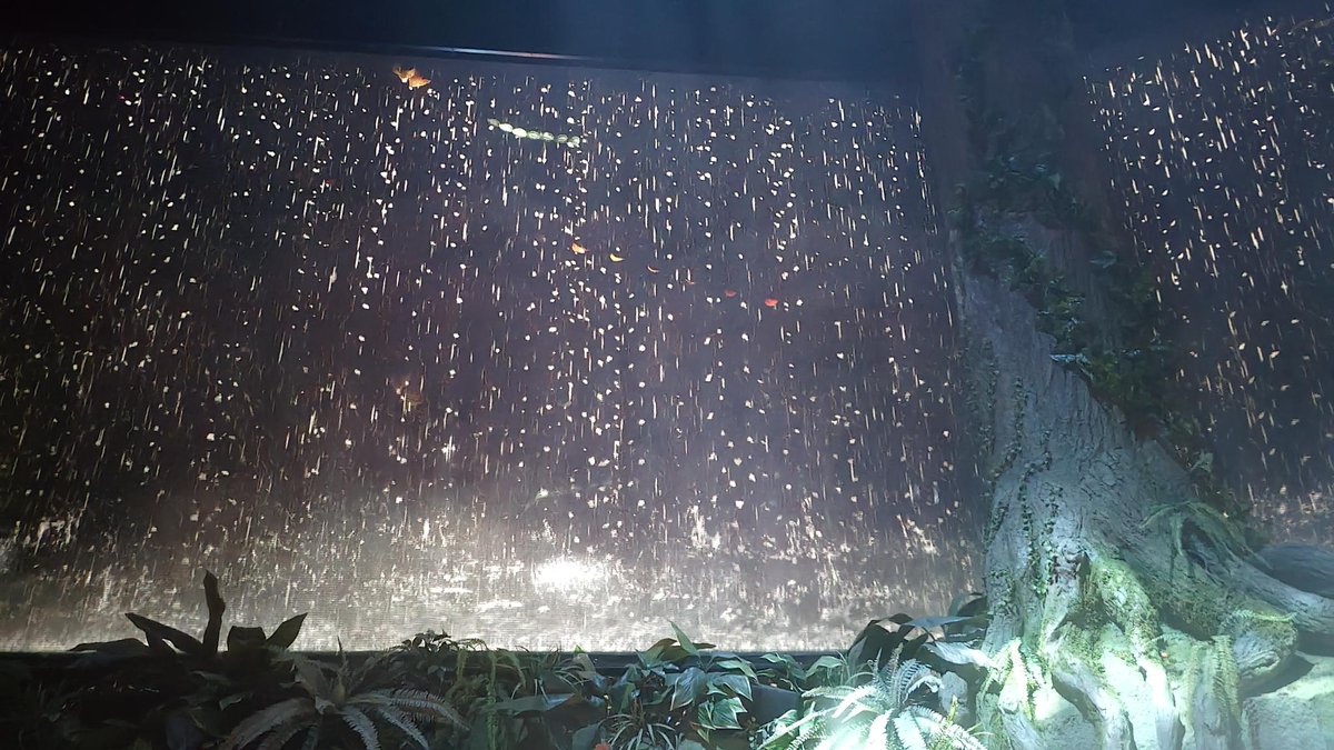 万博訪問8回目(8月)での1枚】 いよいよランタンを手に、住友館