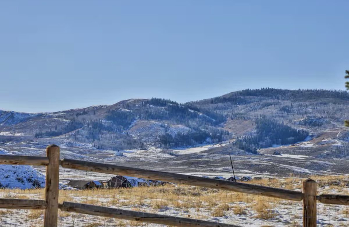 Brian The Stoic tweet media