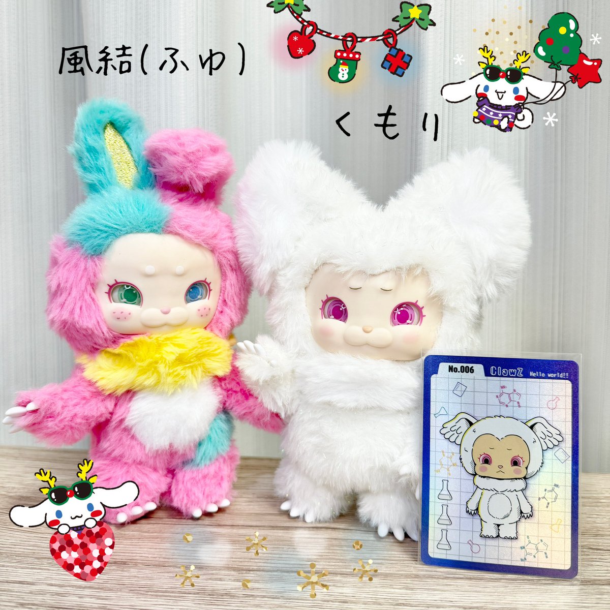 No.006ちゃんを保護🤍ྀི🪽 シナモンくん大好きな小6息子。 お誕生日が