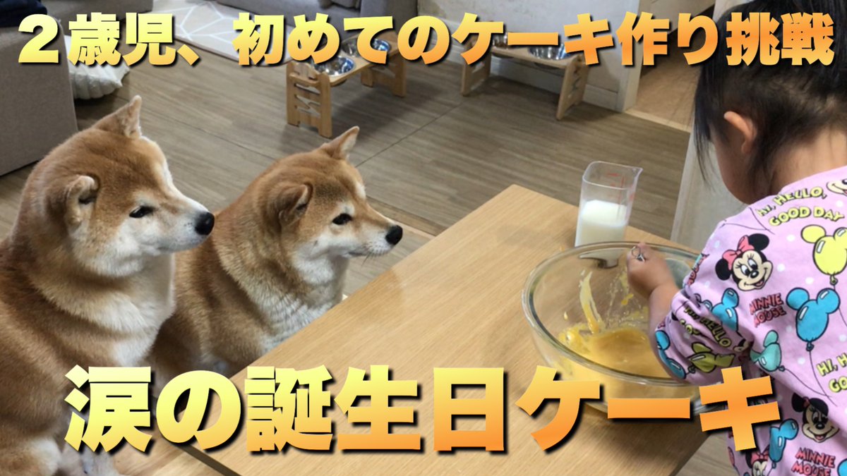 Happy Birtday」のアイデア 70 件 | バースデーカード, 誕生日画像, ハッピーバースデー, image size:1200x675