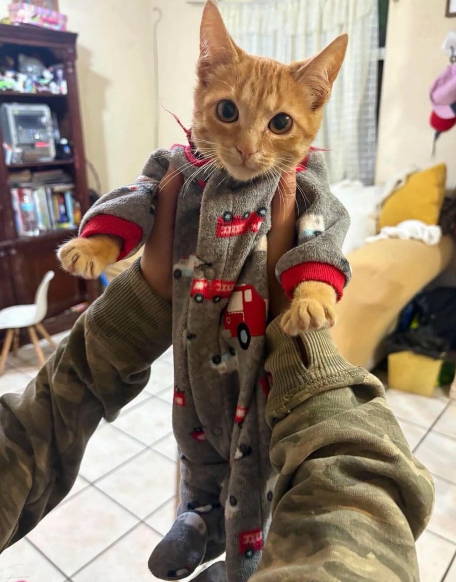 positive side of X 🌞 tweet media