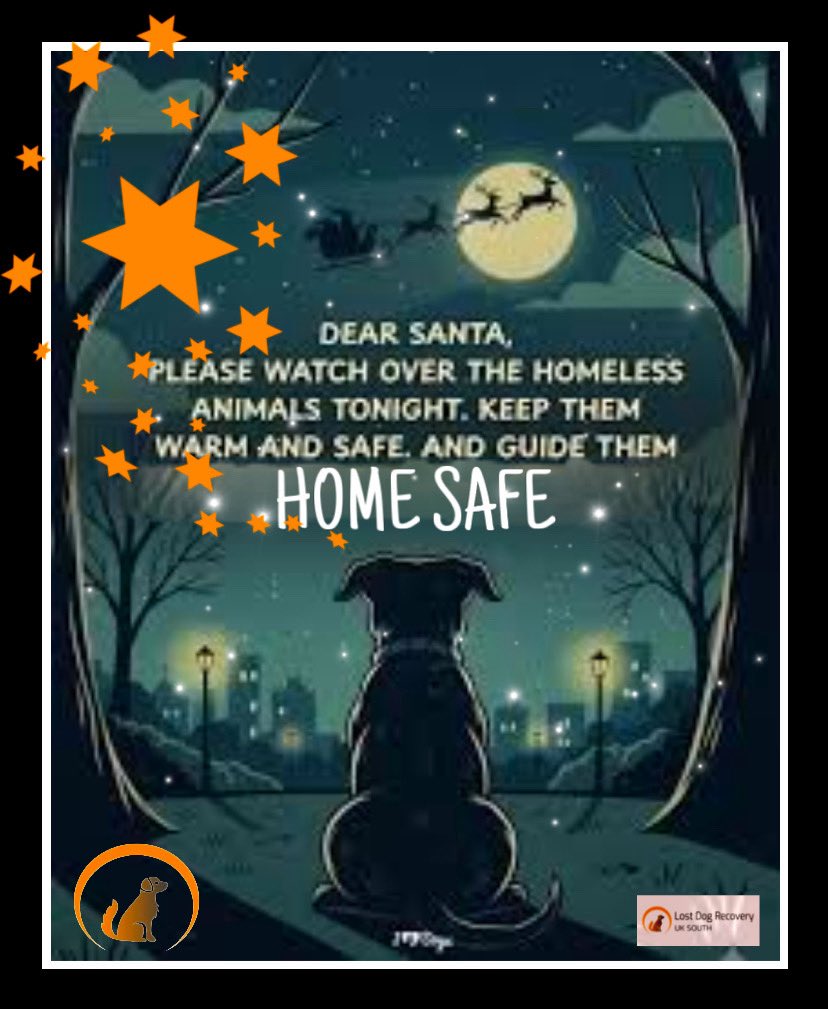 Lost Dog Recovery UK South tweet media