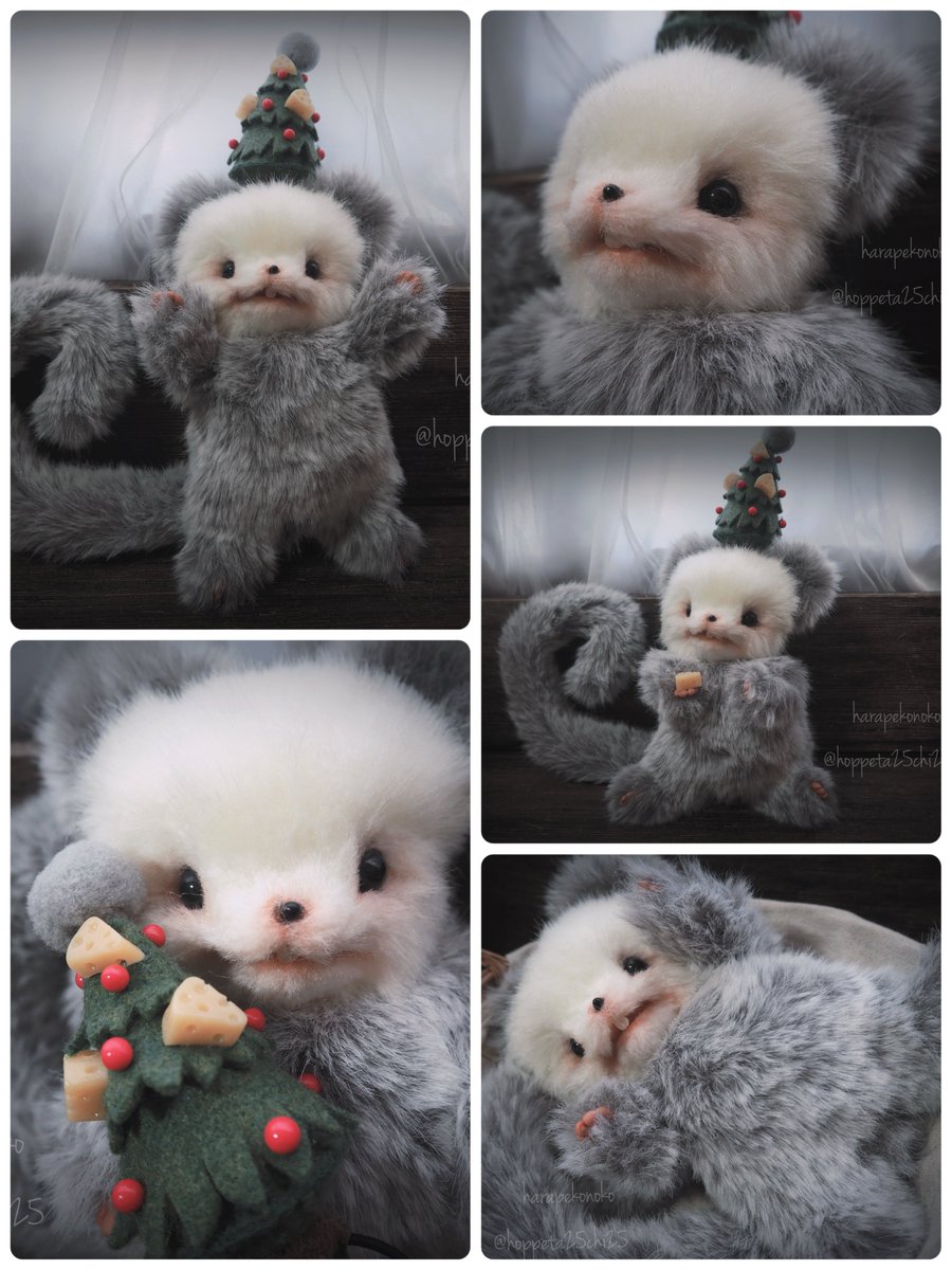 ハラペコ (@hoppeta25chi25) / Posts / X