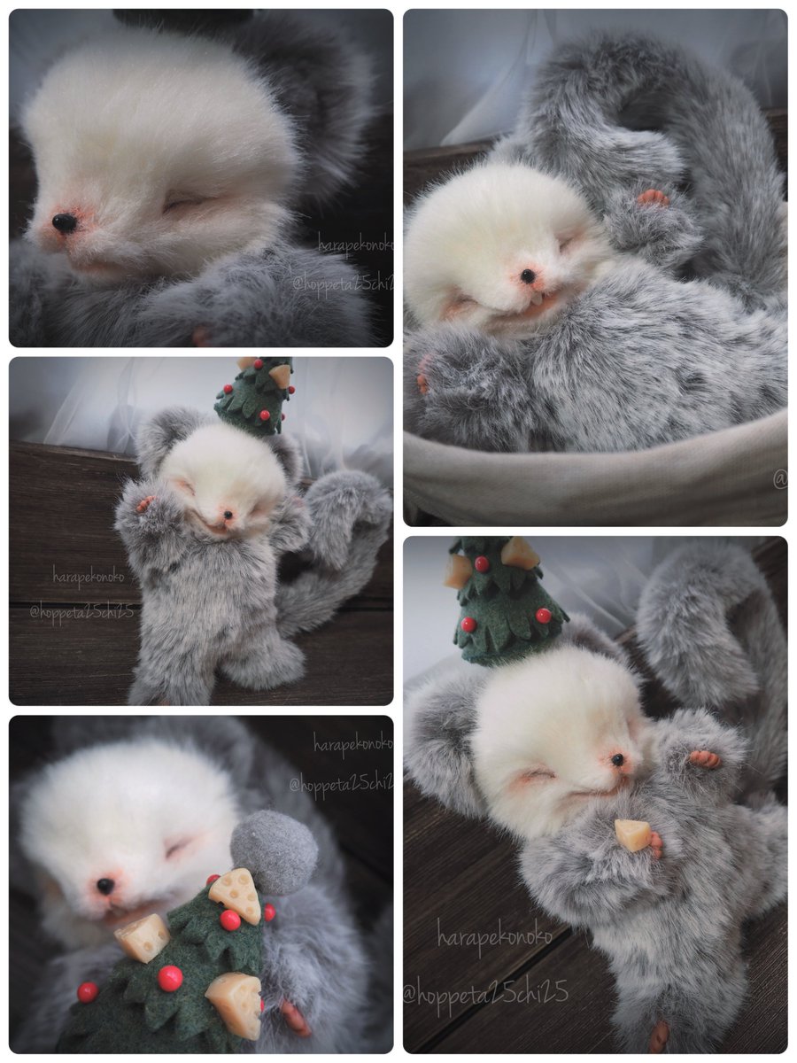 ハラペコ (@hoppeta25chi25) / Posts and Replies / X