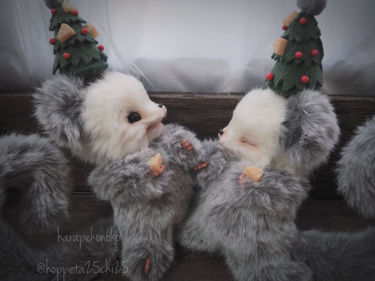 ハラペコ (@hoppeta25chi25) / Posts / X