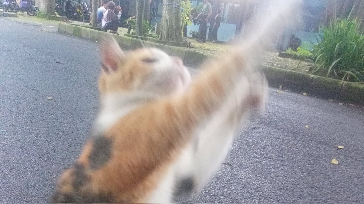 Jalan ke yube sebagai penutup semester 1