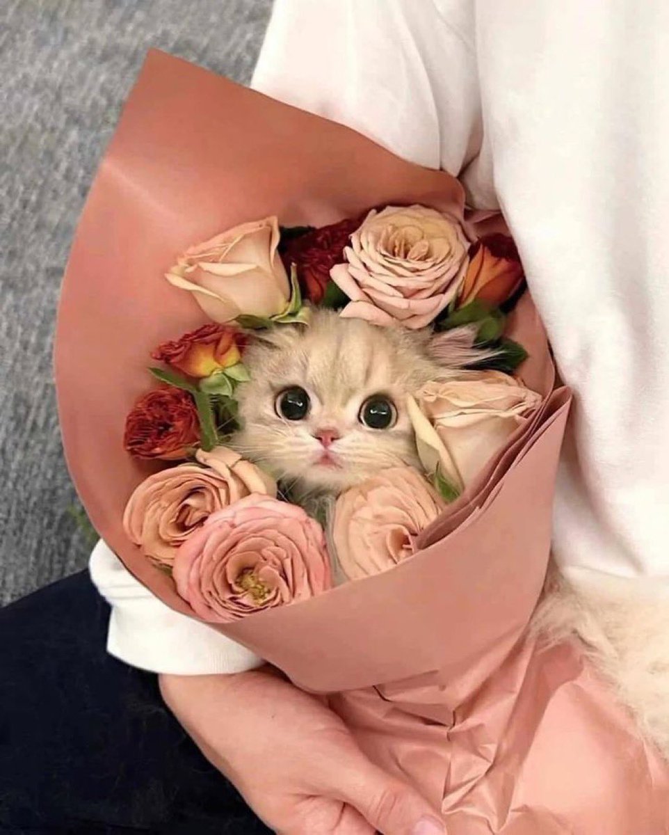 1leio's tweet image. 