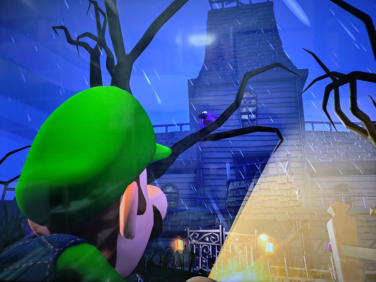 Switch2 #ルイージマンション2 #プリンセスピーチショータイム 試しに