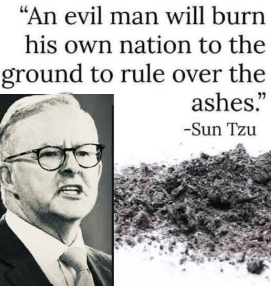 <a href="/AlboMP/">Anthony Albanese</a>