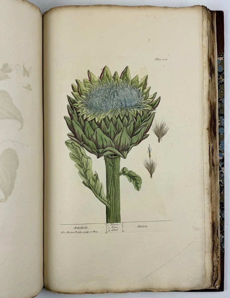 Archives and Special Collections tweet media