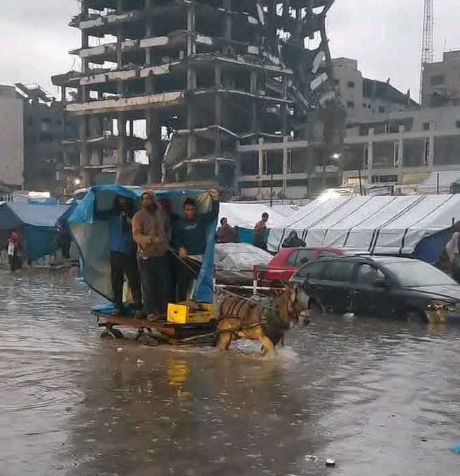 #غزة_تغرق ليس من المياه بل من خذلان العرب