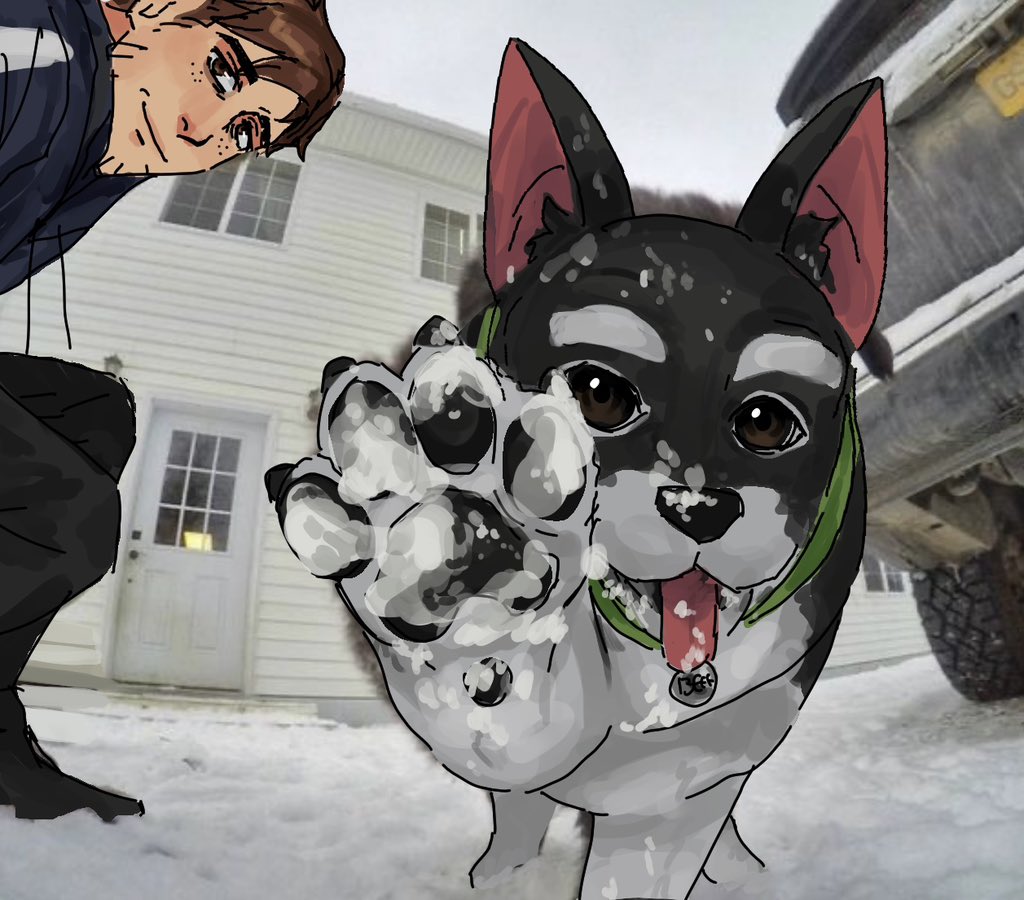 Paws at you #dispatch #robertrobertson #beef