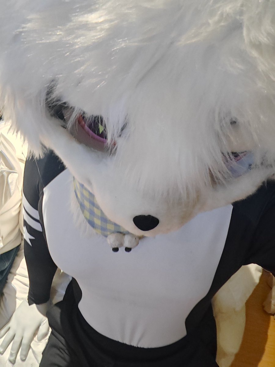 EightKitte76419's tweet photo. 我投降🏳️ https://t.co/hVTjdGZGuW