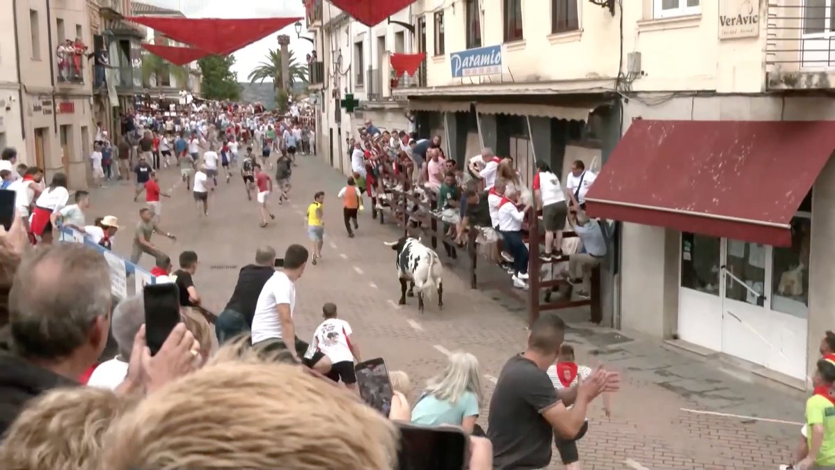 El toro del pueblo, el toro de todos
Un año más hemos querido estar presente en el festejo popular para mostrar su fuerza. Decenas de localidades donde presenciamos como el toro es el eje de la fiesta

🟥 En directo bit.ly/DirectoTierraD…

📲YouTube y App 
<a href="/cextremadura/">Canal Extremadura</a>