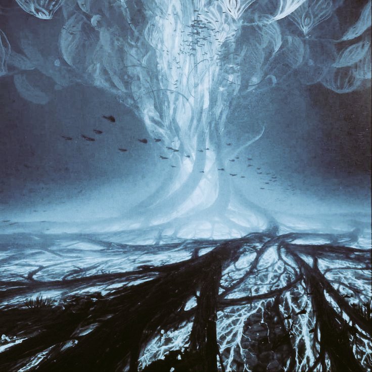 𝐉𝐀𝐊𝐄 𝐒𝐔𝐋𝐋𝐘. tweet media