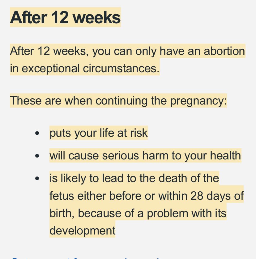 Ruth Coppinger tweet media