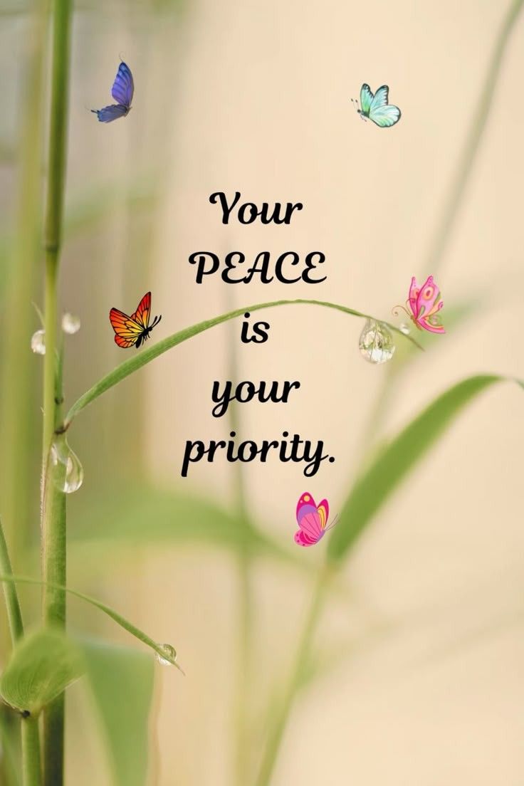 XeZ1131618's tweet photo. Your 
                     Peace
                        Is 
                    Your 
                    Priority. https://t.co/wuL6MRlX2E
