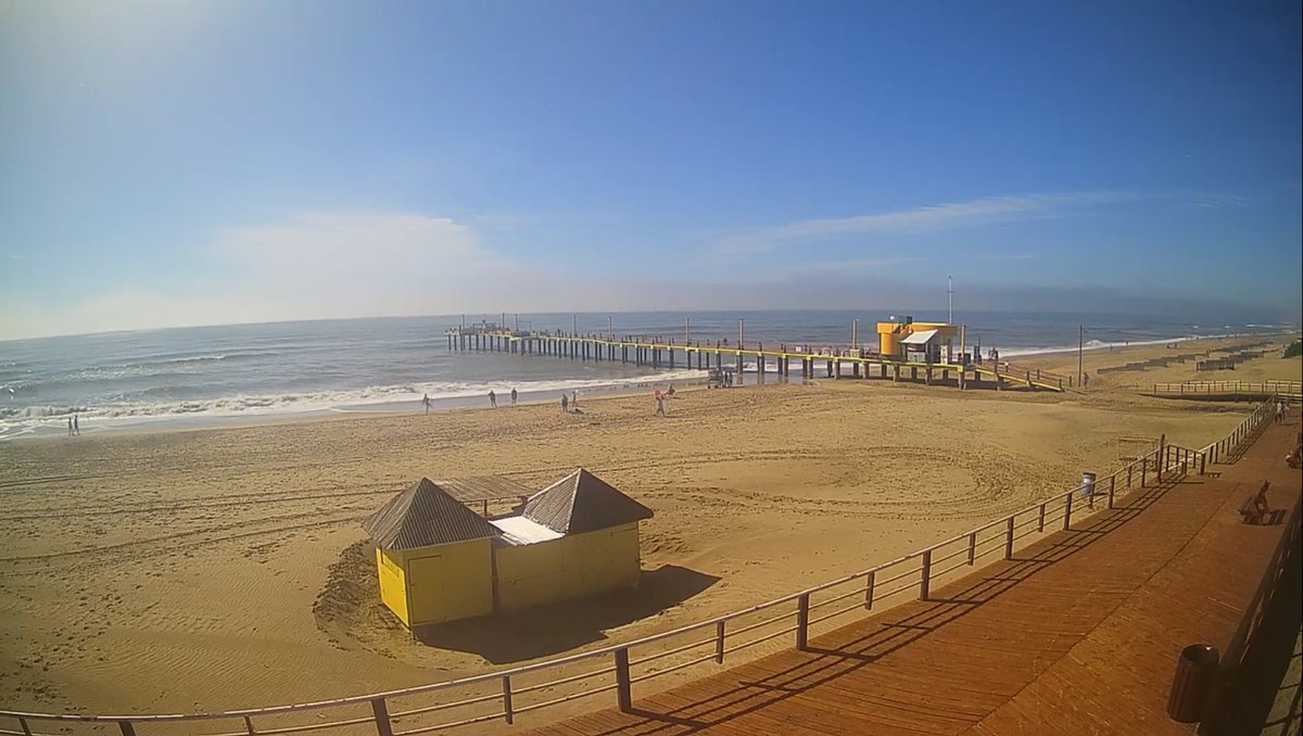 soɹɹnɥɔ El Topo tweet media