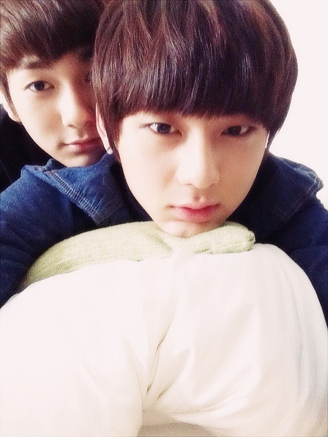 누이스트가 좋다고요