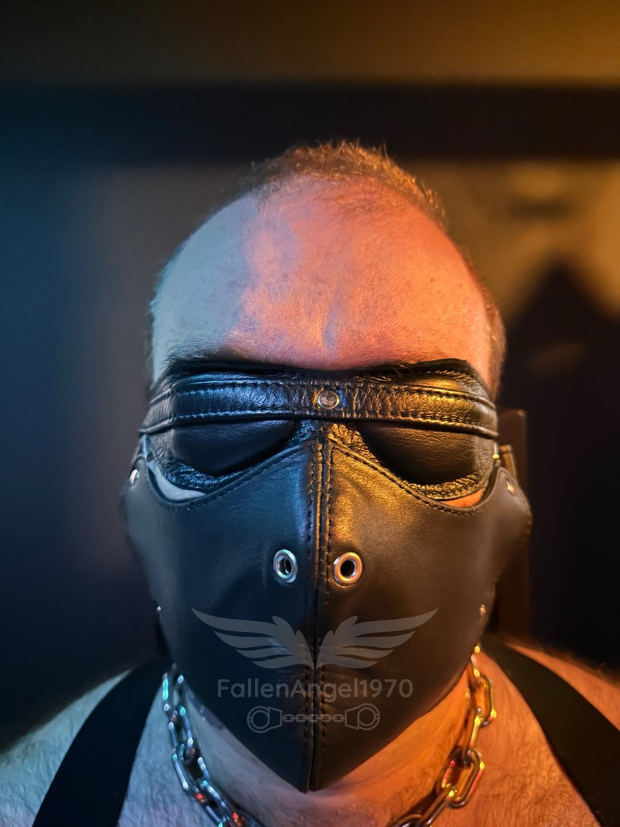 FallenAngel1970 tweet media