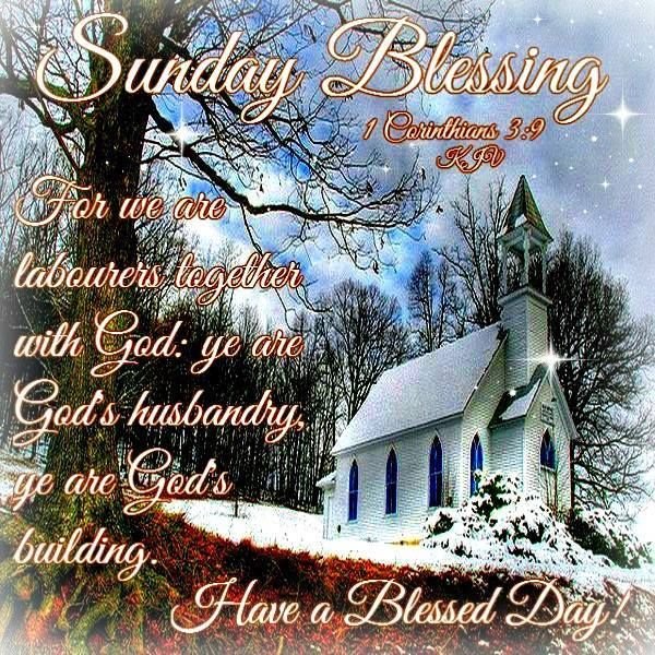 Suekusowski1's tweet image. Good  morning  friends. Have a great Sunday morning.