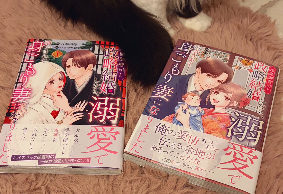 冷徹御曹司と政略結婚したら、溺愛で溶かされて身ごもり妻になりました