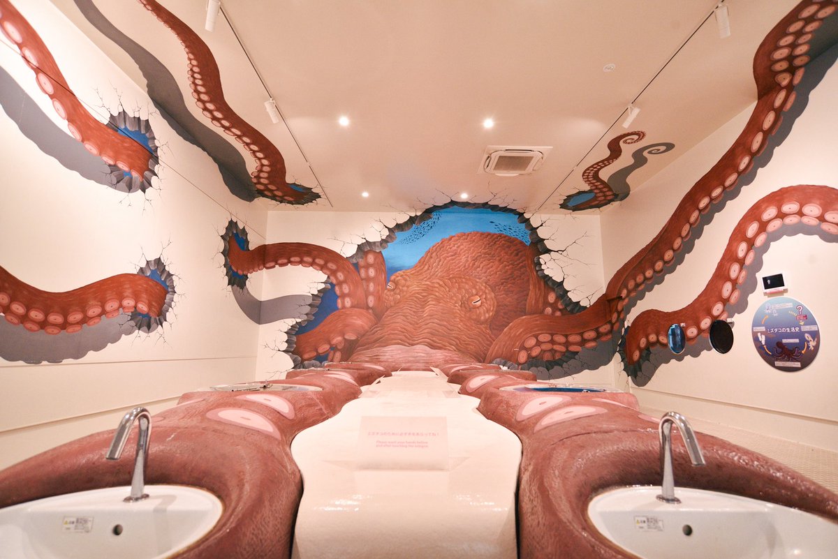 タコの展示こんなに気合い入っとるん珍しくて凄い見てて楽しかった