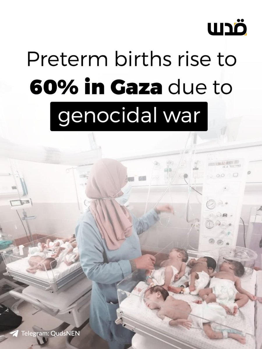 The rate of preterm births in Gaza has surged to 60% amid the ongoing war, according to Ahmed Al-Farra, head of the Pediatrics and Maternity Department at Nasser Medical Complex in Khan Younis. 

He said premature infants are being treated under severe conditions in incubators,