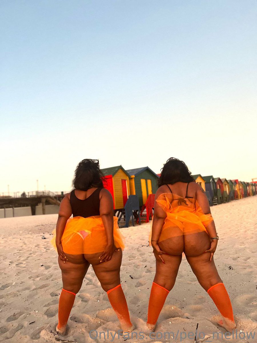 Pelo_mellow tweet media