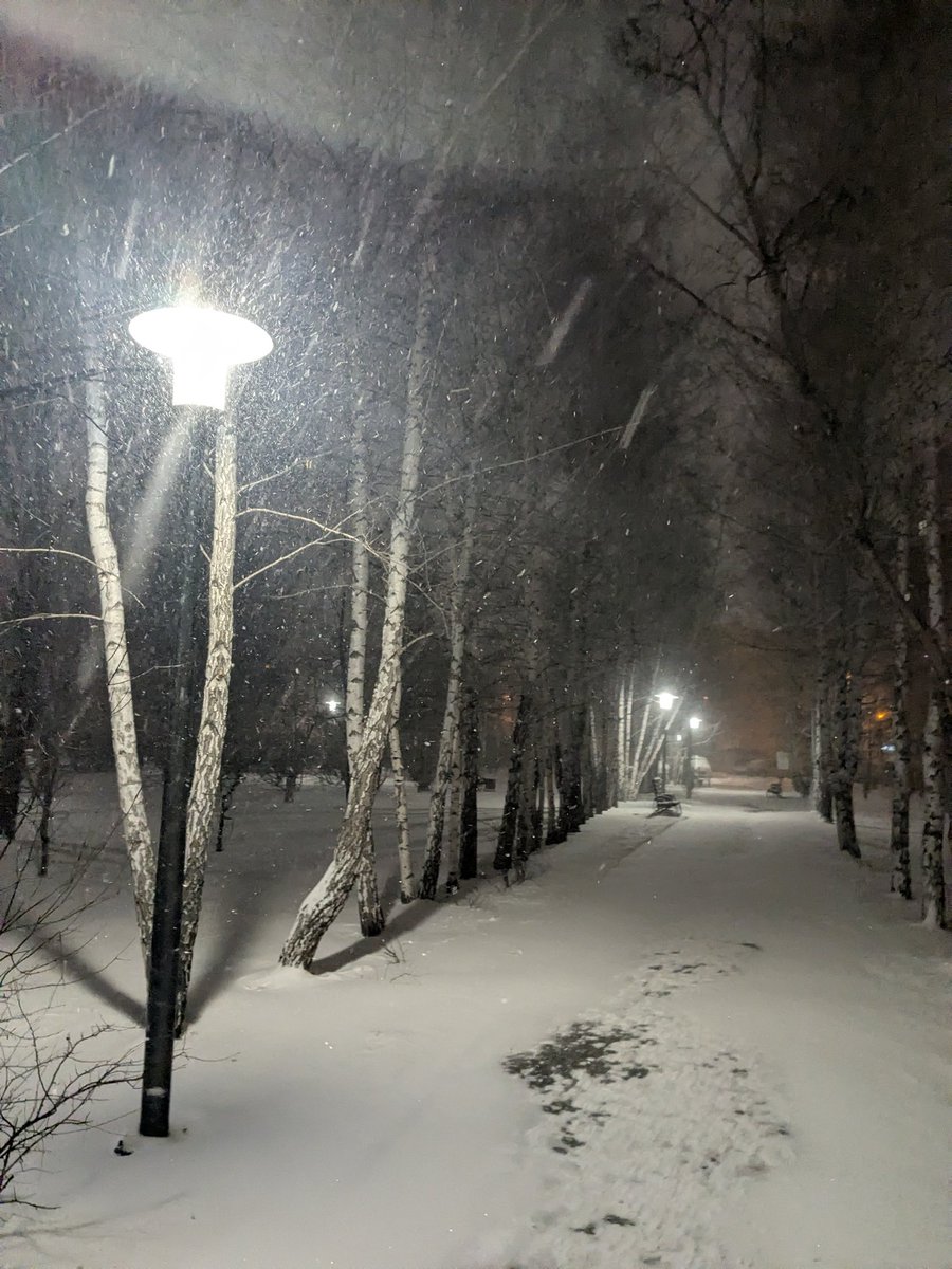 I got out to touch some grass
The sad part that i couldn't find any