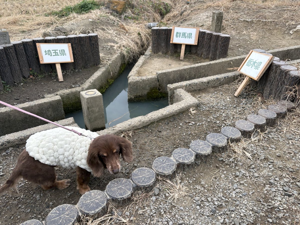 モカ、 #17歳5ヶ月 になりました✨ 3県境行って、3県触ったよ！ 帰っ