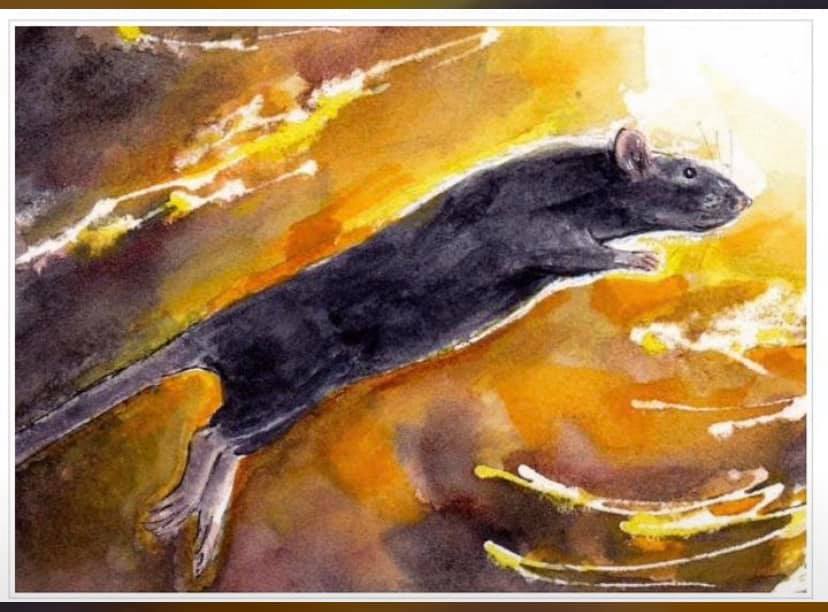 Sol Invictus! Blessed Solstice! #theillustratedrat